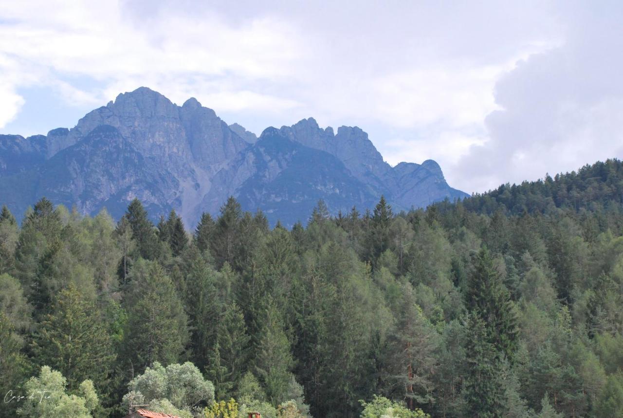 Casa Di Tea Lejlighed Pieve di Cadore Eksteriør billede